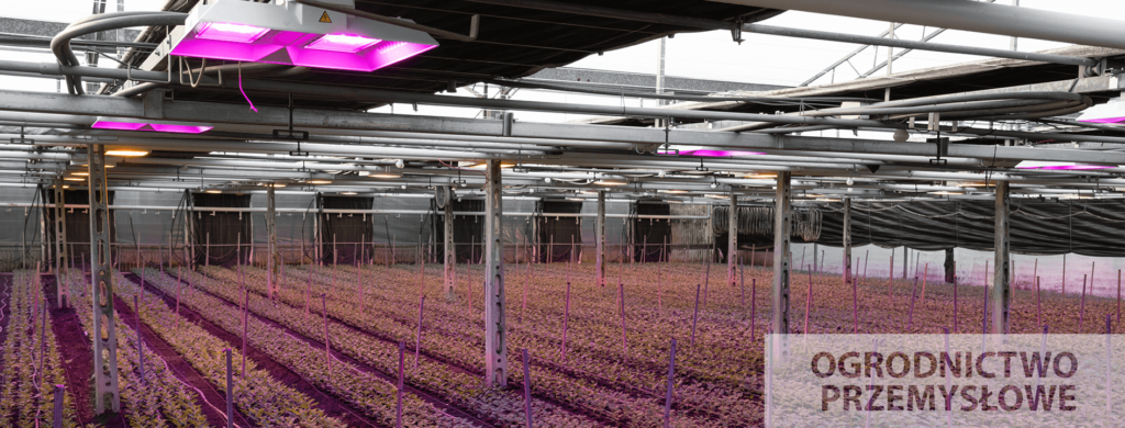 Oprawy ogrodnictwo przemyslowe